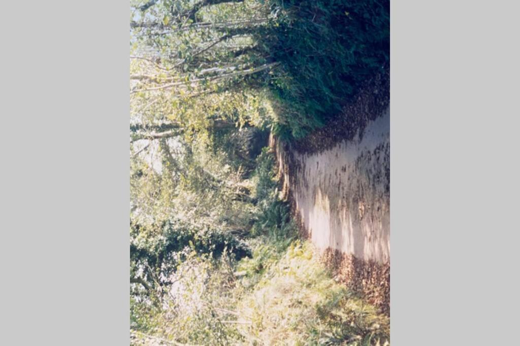 Okewoon Farm Villa Lanivet Dış mekan fotoğraf